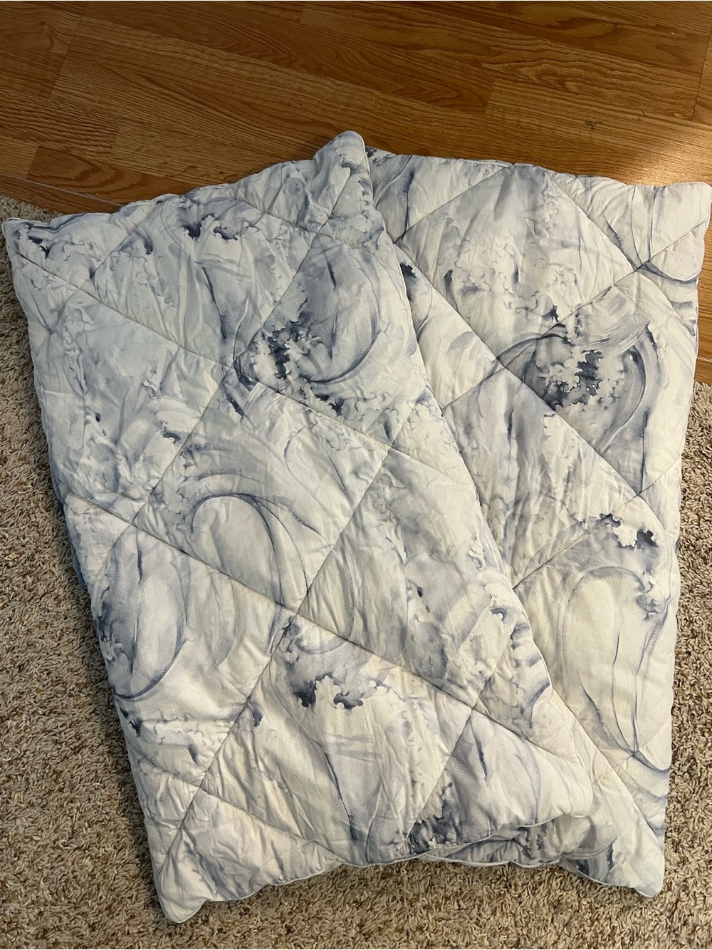 Pottery Barn King Jardin Toile Comforter Shams set of 2; 36" w x 20" h